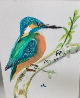 Aquarel IJsvogel