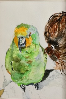 Aquarel Papegaai met dochter.