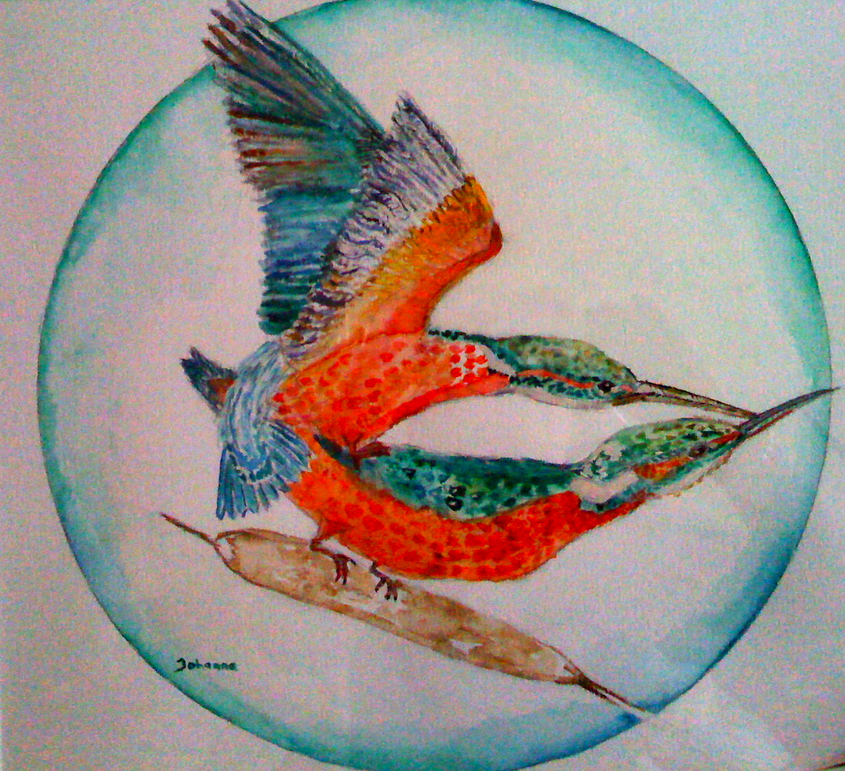 Aquarel Parende IJsvogels