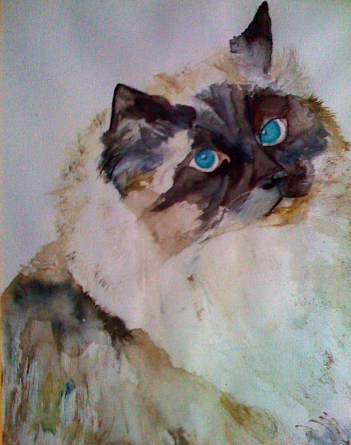 Aquarel Kat van het ras 'Ragdol'