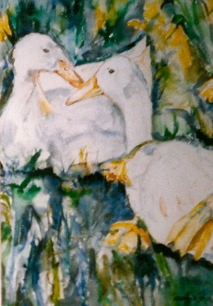 Aquarel Witte Eenden